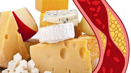 fromages-voici-ceux-que-vous-pouvez-manger-tous-les-jours-pour-obtenir-tous-les-nutriments-essentiels