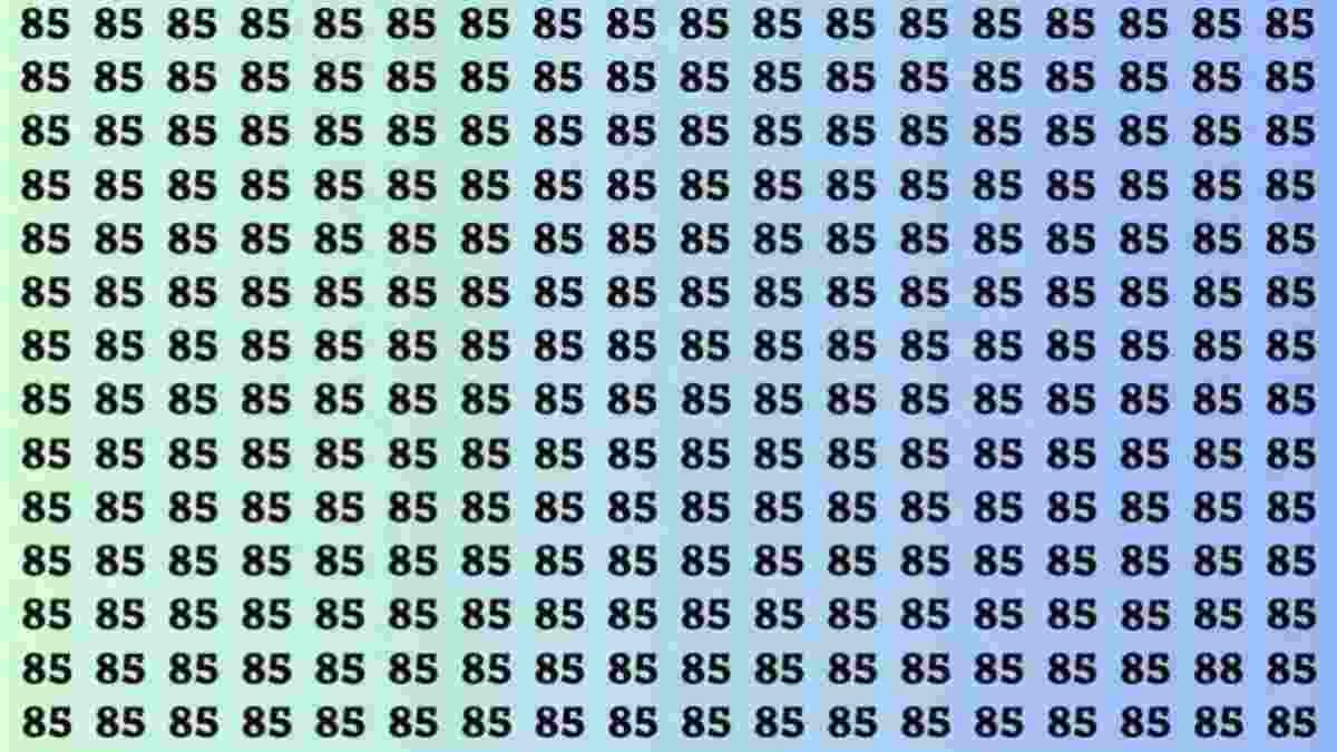 test-cerebral-dillusion-doptique-si-vous-avez-des-yeux-de-faucon-trouvez-le-chiffre-88-en-15-secondes