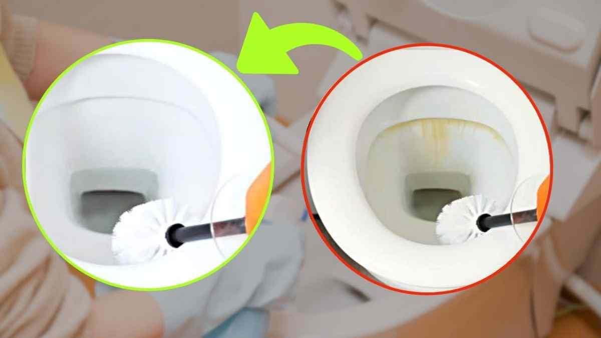 creme-blanchissante-pour-toilettes-diy-meilleure-que-leau-de-javel-adieu-les-taches-2