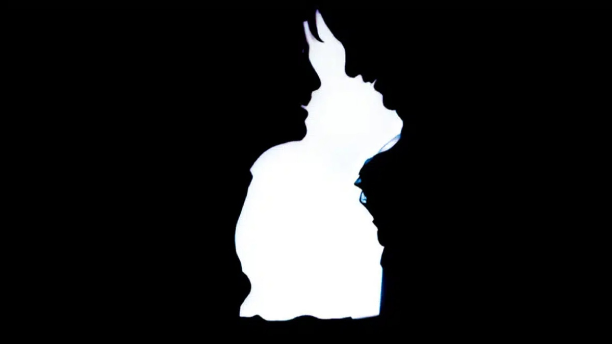 lapin-ou-couple-que-revele-votre-perception-de-cette-image-sur-votre-personnalite