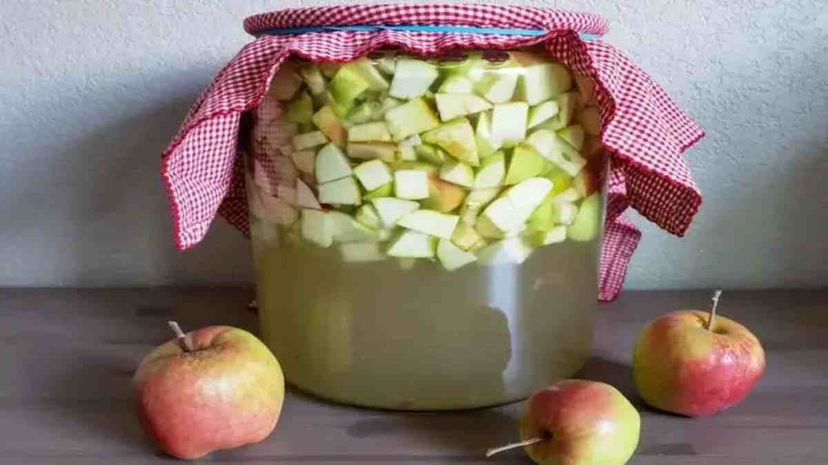 je-mets-les-pommes-dans-leau-bouillante-et-je-ne-depense-plus-1-centime-cest-ce-que-faisait-ma-grand-mere