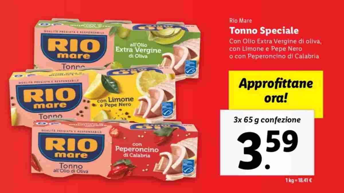 thon-special-en-super-offre-chez-lidl-il-est-avantageux-de-le-prendre-maintenant-et-den-faire-des-reserves