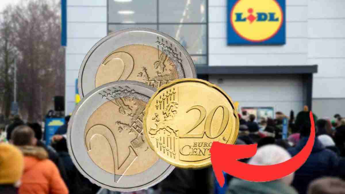 je-nen-revenais-pas-mais-ils-etaient-en-vente-a-un-peu-plus-de-4-euros-chez-lidl-bien-moins-cher-que-lannee-derniere-jen-ai-pris-plein